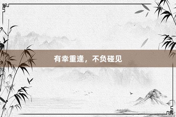 有幸重逢，不负碰见