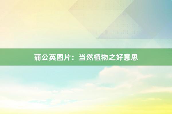 蒲公英图片：当然植物之好意思