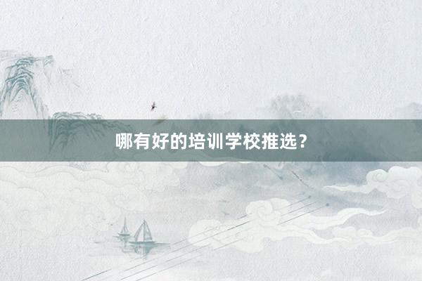 哪有好的培训学校推选?