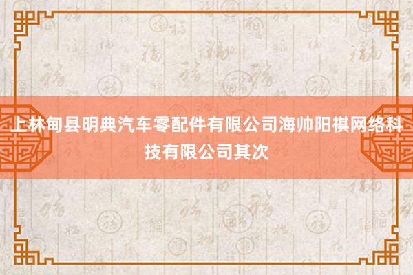 上林甸县明典汽车零配件有限公司海帅阳祺网络科技有限公司其次