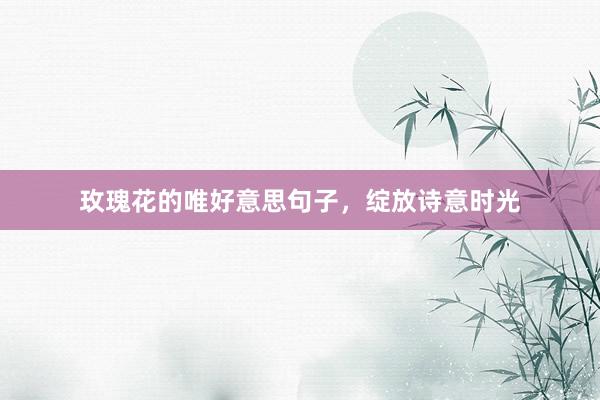 玫瑰花的唯好意思句子，绽放诗意时光
