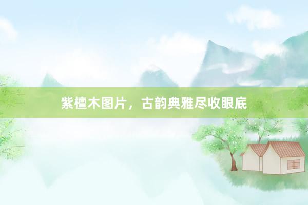 紫檀木图片，古韵典雅尽收眼底