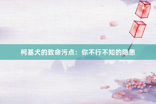 柯基犬的致命污点：你不行不知的隐患